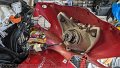 2023_05_18_do_03_007_honda_vision_110_scheinwerfer_innen_update