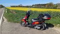 2024_04_13_sa_01_003_honda_vision_110_bei_regglisweiler