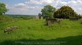 2017_05_24_mi_01_175_hanbury_cemetery_st_mary_the_virgin