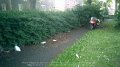 2017_05_25_do_01_512_newcastle_on_tyne_herbergssuche_benwell_lane