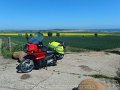 2017_05_26_fr_01_118_warkworth_nach_hipsburn_A1068_blick_nach_alnmouth