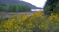 2017_05_27_sa_01_704_A826_von_dunkeld_nach_aberfeldy_griffin_forest