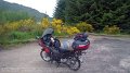 2017_05_27_sa_01_707_A826_von_dunkeld_nach_aberfeldy_griffin_forest