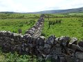 2017_05_28_so_01_491_slaggyford_A689