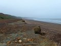 2017_05_29_mo_01_066_durham_horden_beach