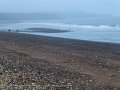 2017_05_29_mo_01_067_durham_horden_beach