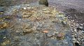 2017_05_29_mo_01_078_durham_horden_beach