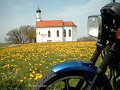 2003_04_25_fr_076_blumenwiese_und_kirche