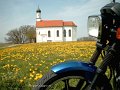 2003_04_25_fr_076_blumenwiese_und_kirche