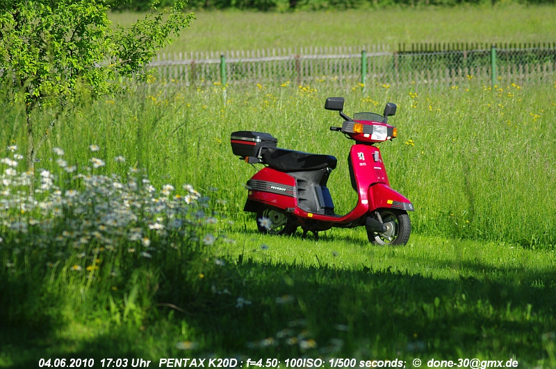 2010_06_04_fr_02_037_fotoshooting_im_garten.jpg