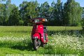 2010_06_04_fr_02_013_fotoshooting_im_garten_margeriten