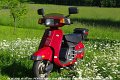 2010_06_04_fr_02_014_fotoshooting_im_garten_margeriten