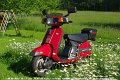 2010_06_04_fr_02_018_fotoshooting_im_garten_margeriten