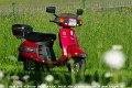 2010_06_04_fr_02_043_fotoshooting_im_garten_hinter_blumen