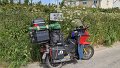 2023_06_01_do_01_039_honda_innovawest_lambrook_south_petherton_kingsbury_episcopi_somerset