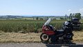 2023_06_09_fr_01_028_honda_innova_pause_zwischen_fenetrange_und_postroff_moselle_sarrebourg-chateau-salins_grand-est